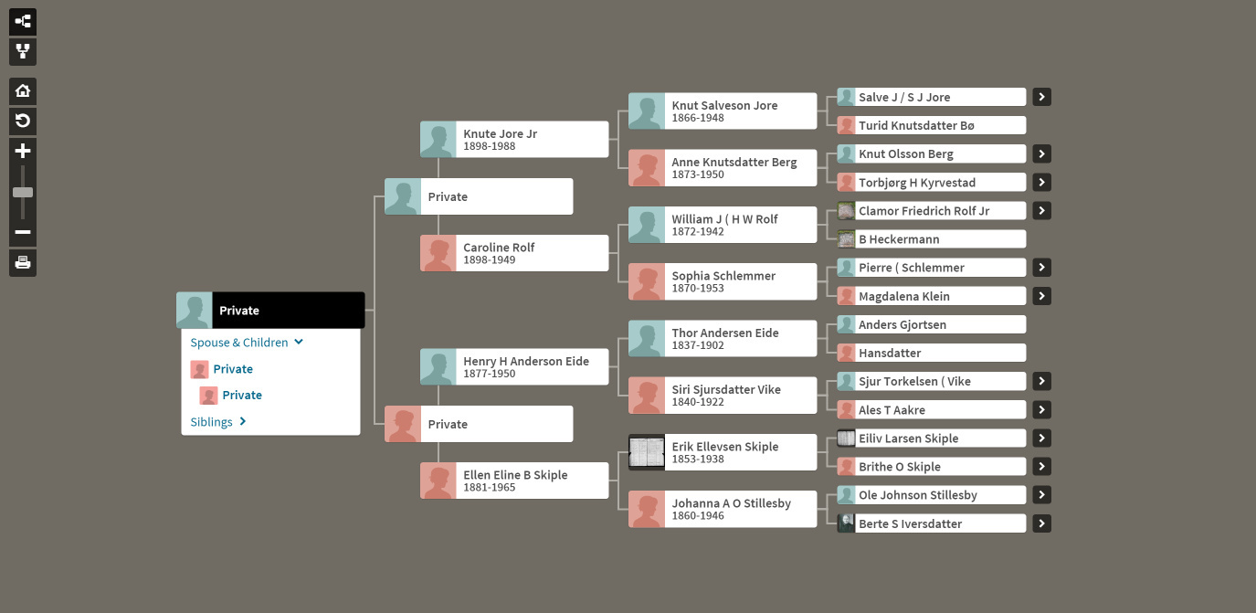 Family Tree Pedigree
